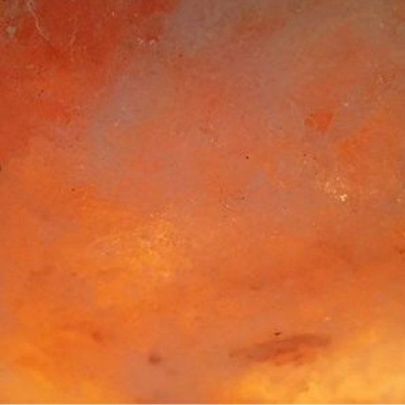 Meet your Posher, Cosmo. - Picture 1 of 1